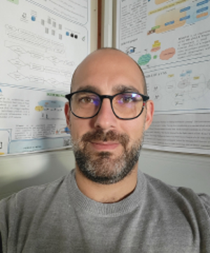 Christian Grasso - ICIN 2026